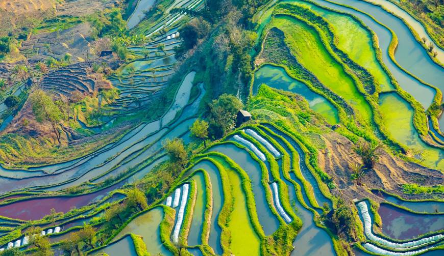 宝妈必备神器：长顺县产品视频拍摄轻松育儿好帮手