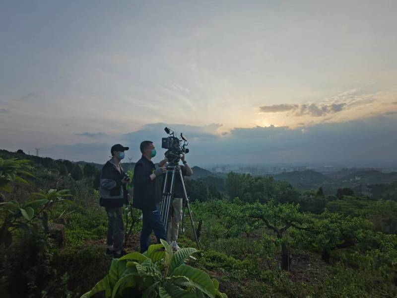 创意破圈！长顺县电商产品宣传视频用故事化叙事引爆流量