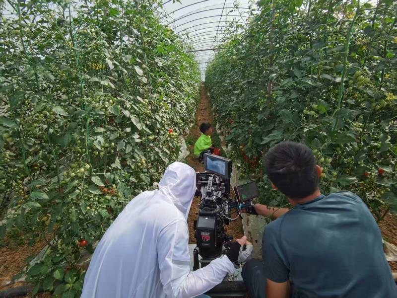 长顺县产品宣传视频拍摄公司进阶指南，助力品牌抢占传播高地